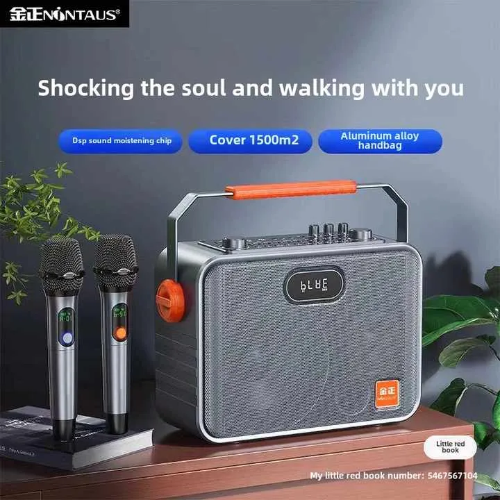 محمول ميكروفون-portable microphone