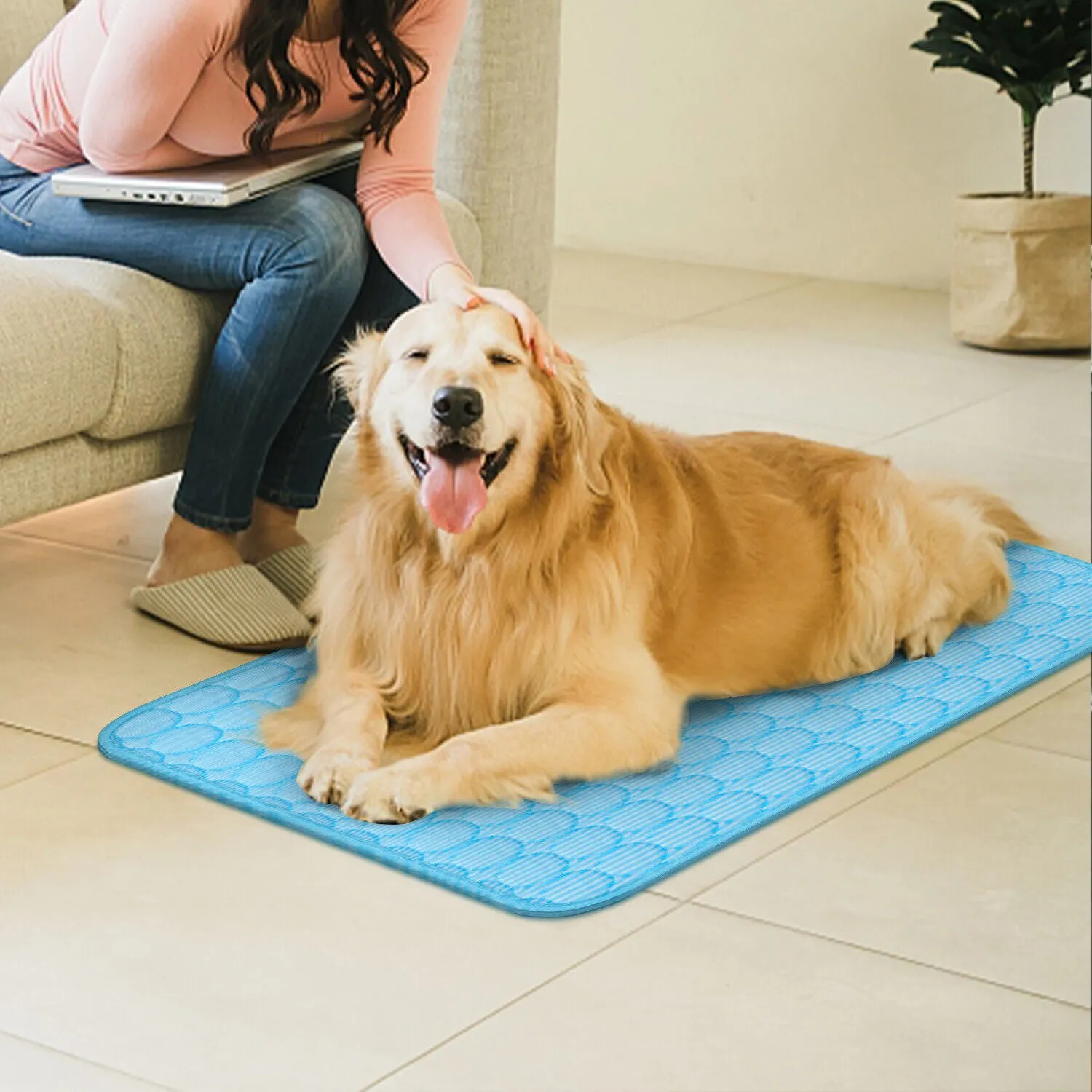 3-Layer Cooling Pet Mat for Dogs & Cats - Deluxe Absorbent & Non-Slip Summer Pet Bed Pad