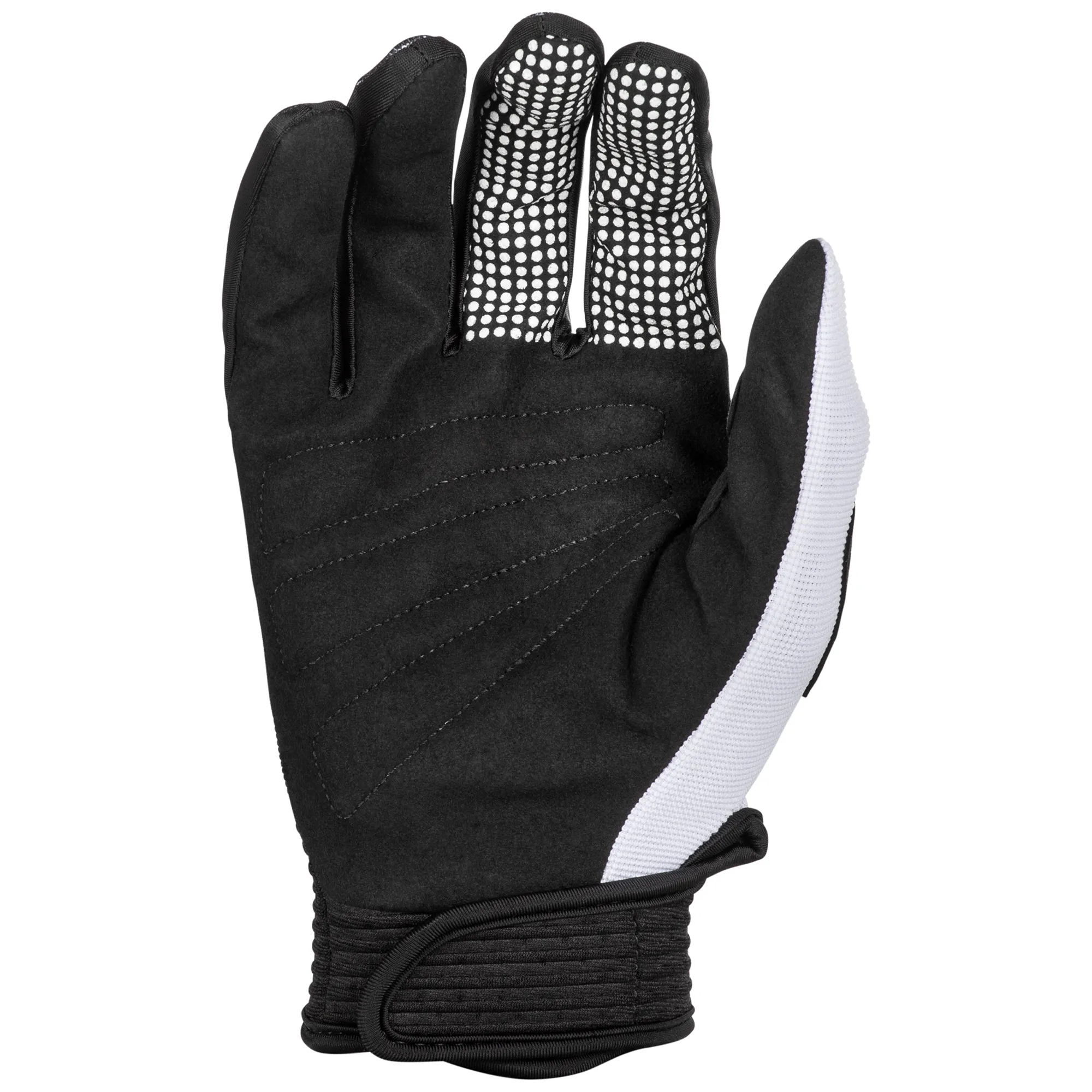 Fly Racing 2025 F-16 Gloves Black White