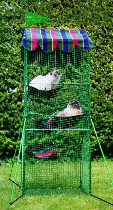 KittyWalk Penthouse