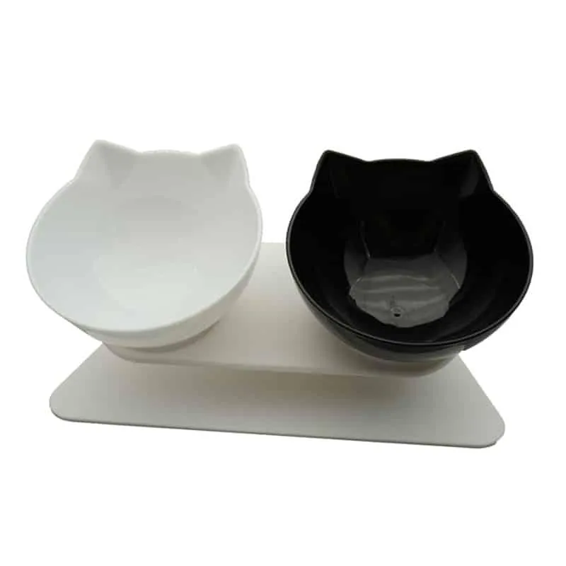 Non-Slip Double Bowl
