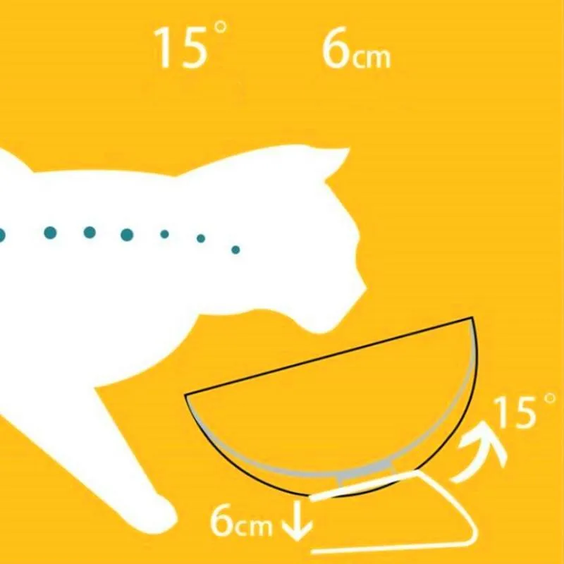 Non-Slip Double Bowl