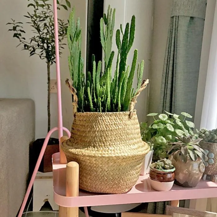 Seagrass Wicker Basket