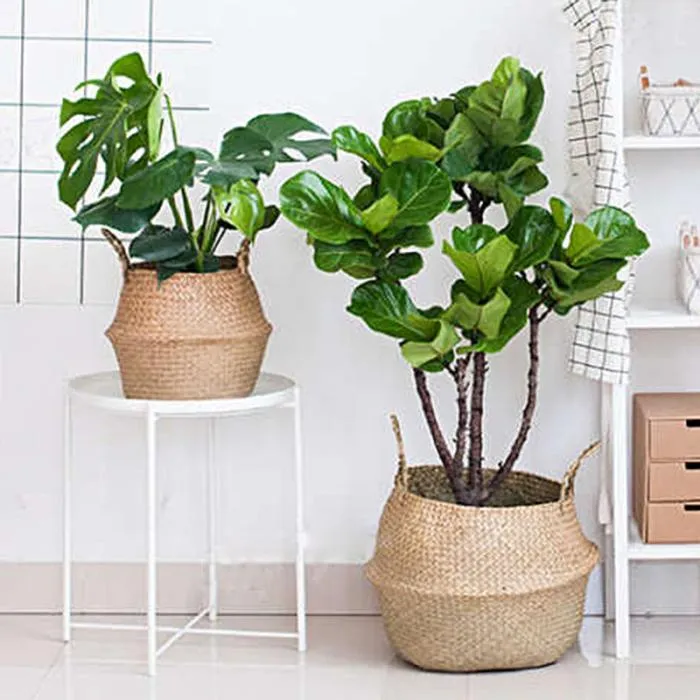 Seagrass Wicker Basket